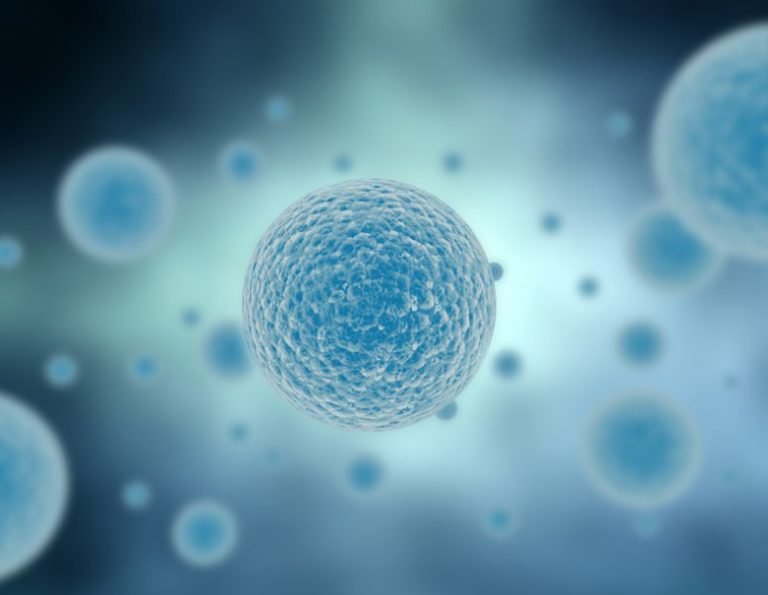 Autophagy – Fasting – Tương quan
