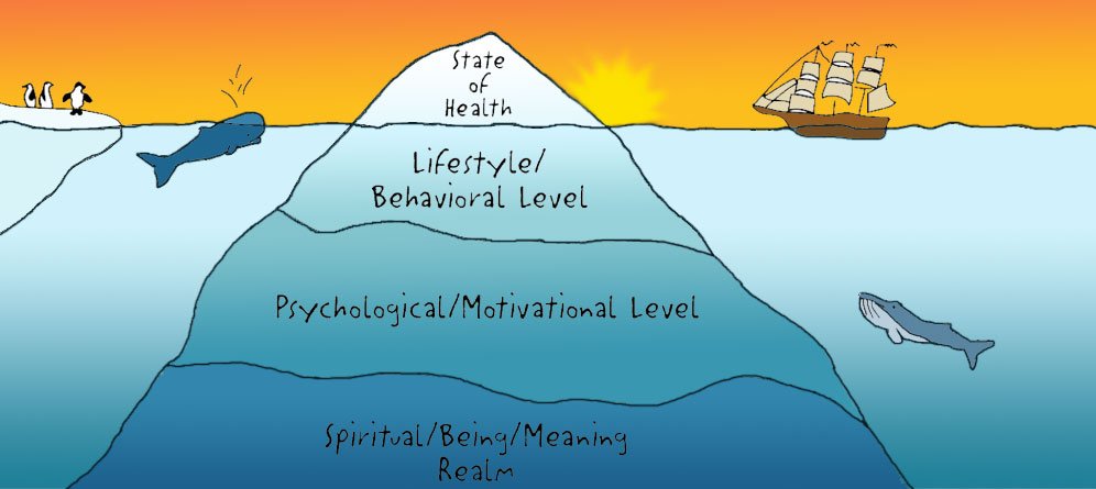 Iceberg model of health Vietnam Detox - Wellness Coaching