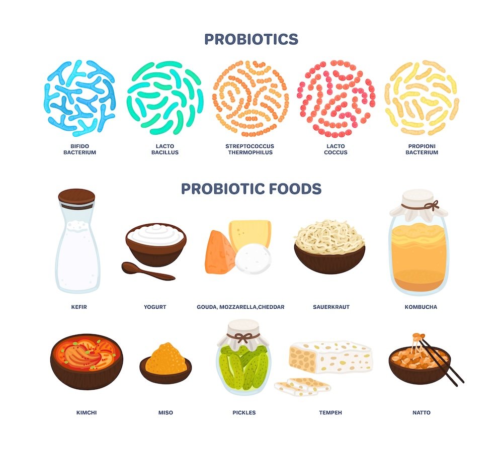 Illustration of the best food sources of probiotics